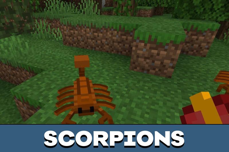 Cockroach 4