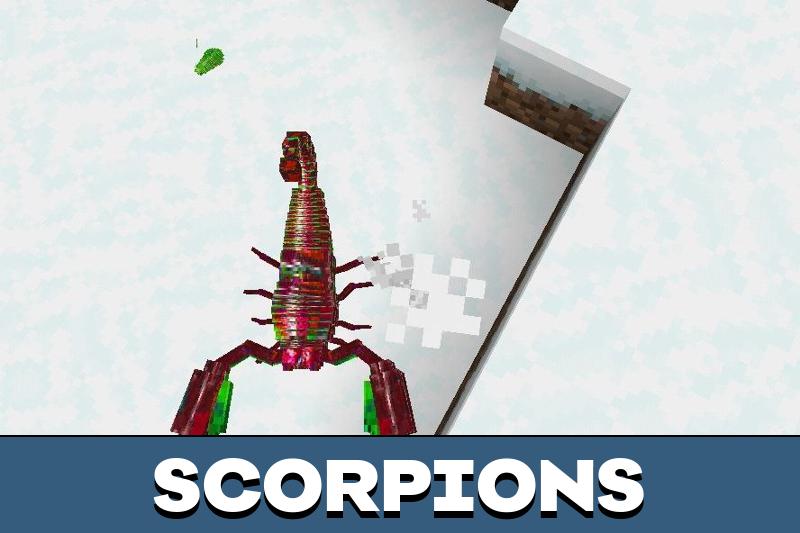 Star Insects 5