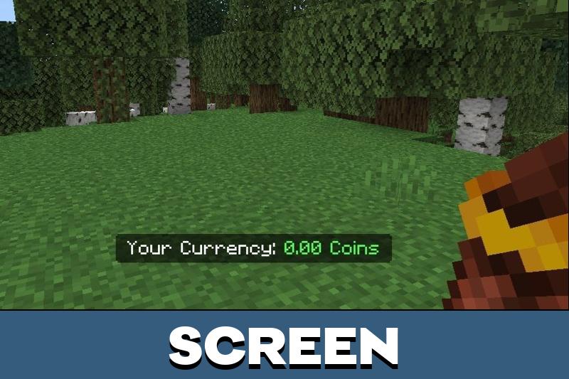 Economy 6