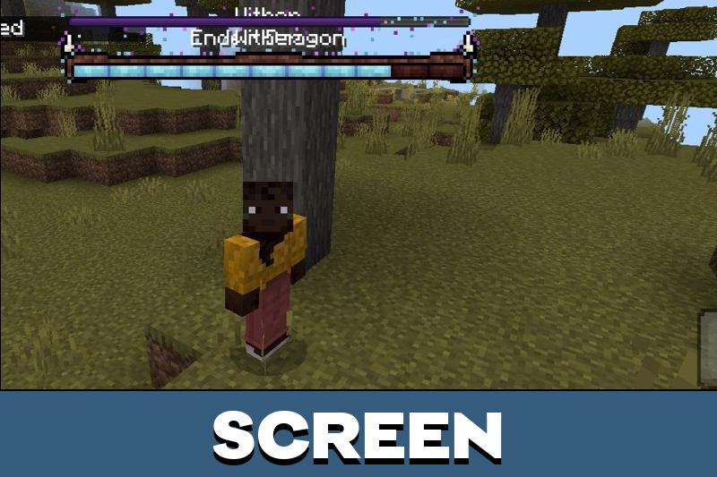Ender Dragon and Wither Health Bars Texture Pack 5