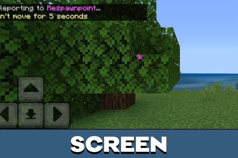 Request TP 5