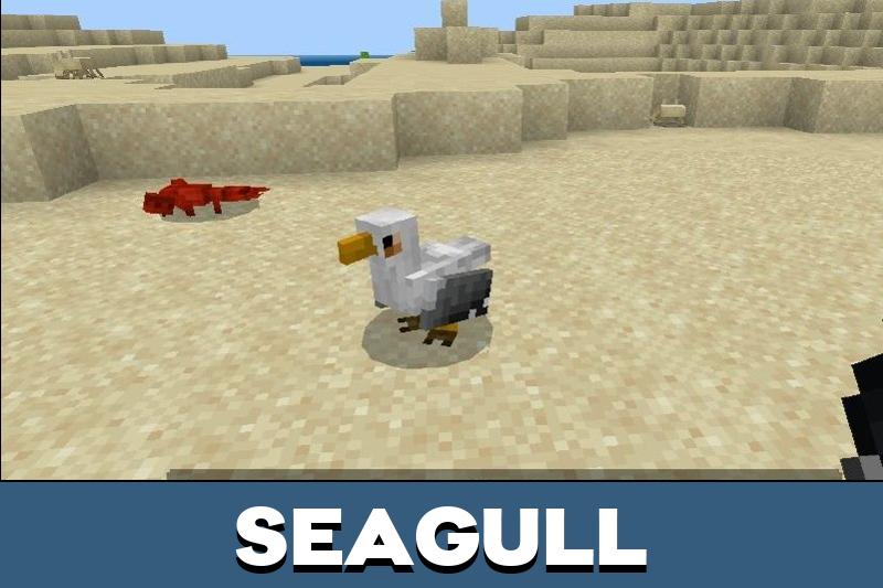 Pelican 2