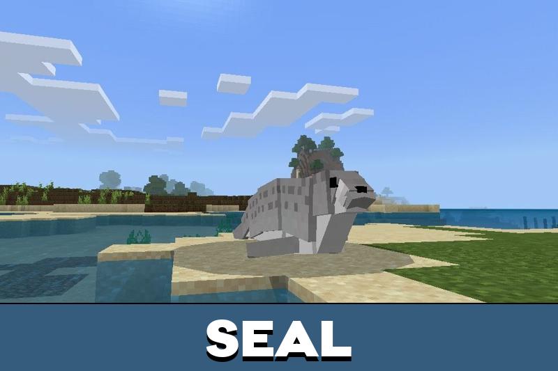 Shark 4
