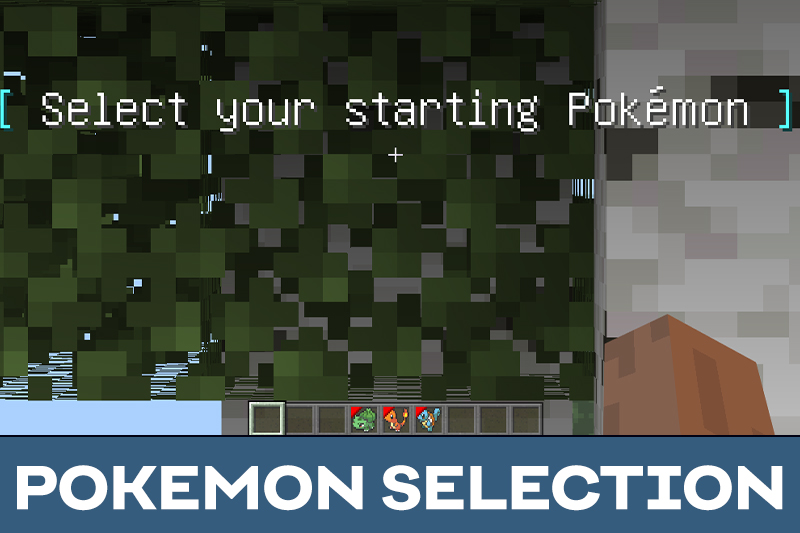 Pokemon 5