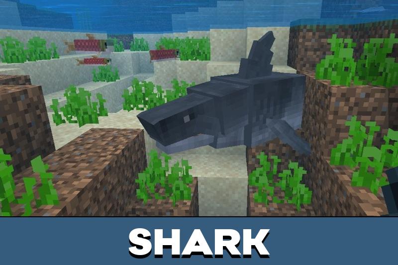 MBcreatures Plus 2