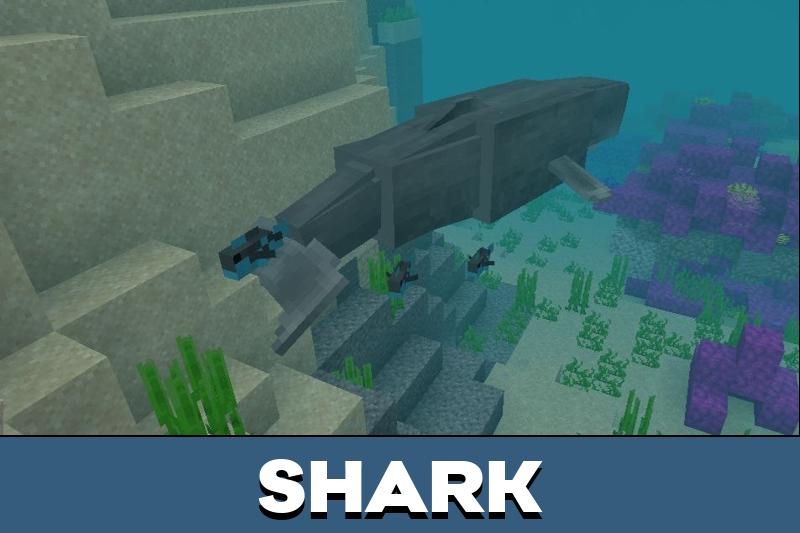 Ocean Creatures 1