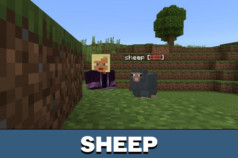 Health Bar 5