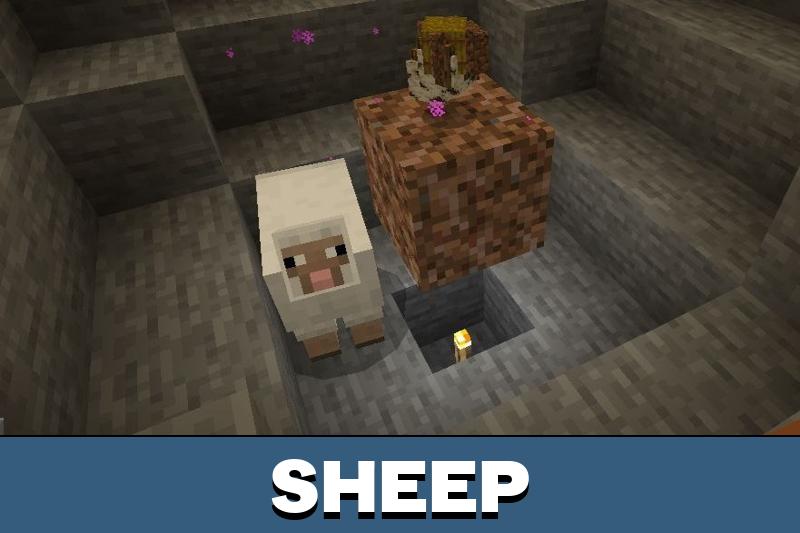 Magic Block Map 4