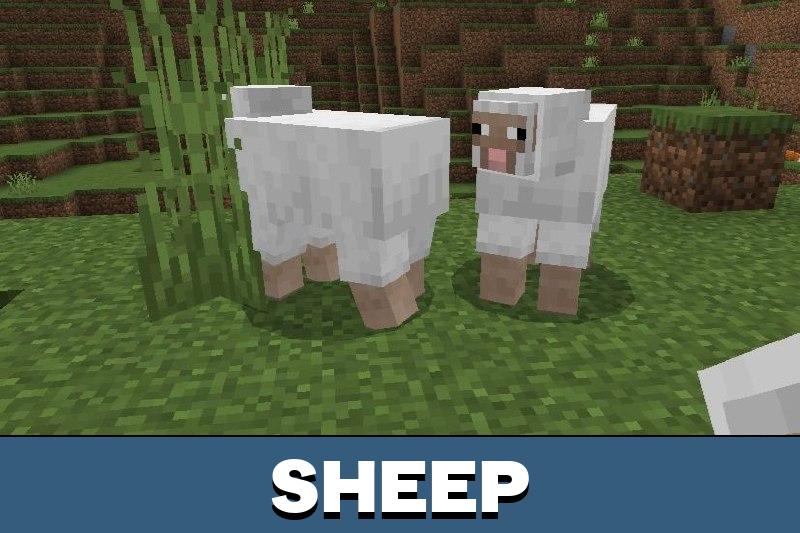 Mobs Animation 3