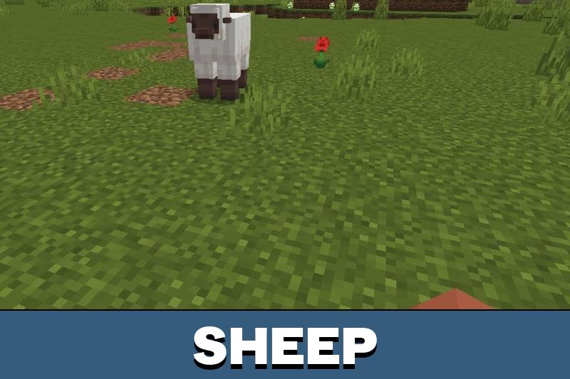 Txymes Cottagecore Texture Pack 4