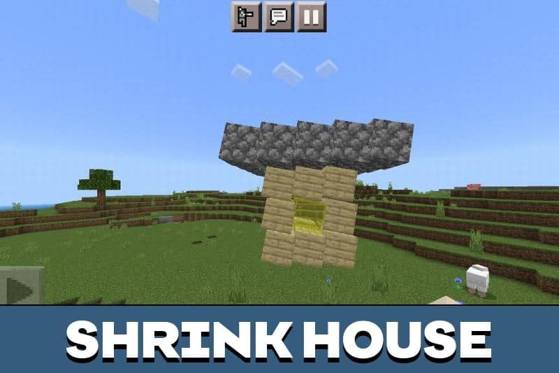 Minecraft Shrink 4