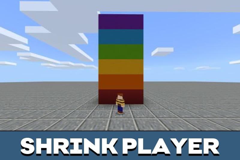 Minecraft Shrink 3