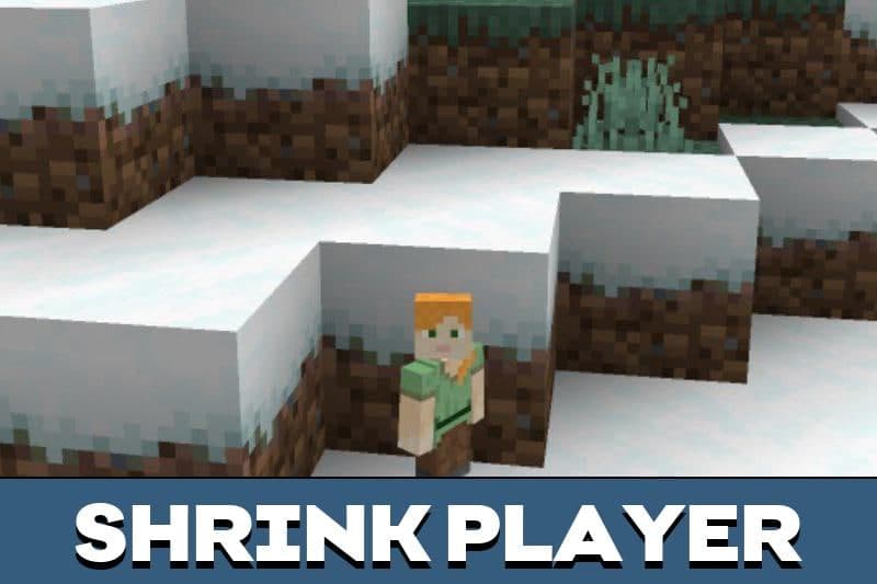 Minecraft Shrink 2