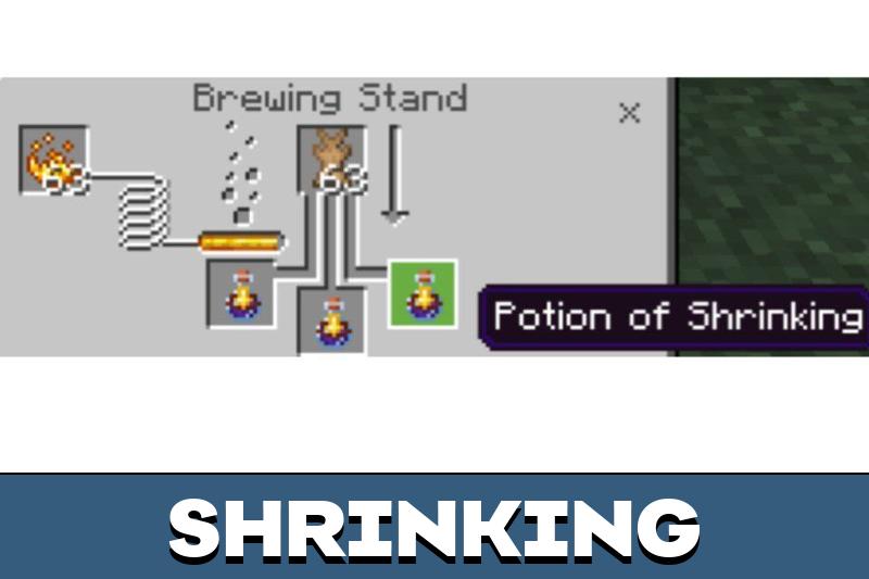 Size Potions 2