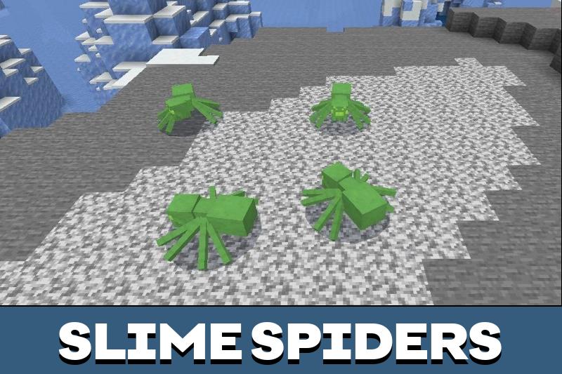 Spider 3