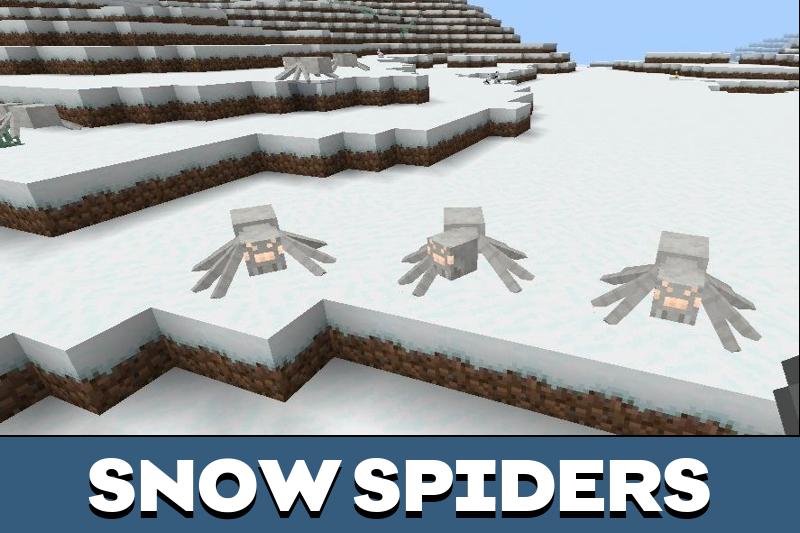 Spider 4