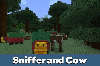 Sniffer 3
