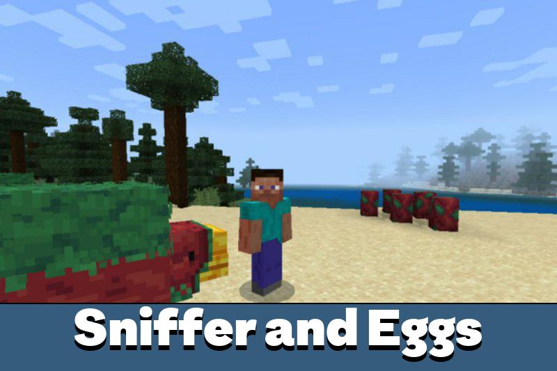 Sniffer 1