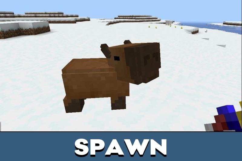 Capybara 1