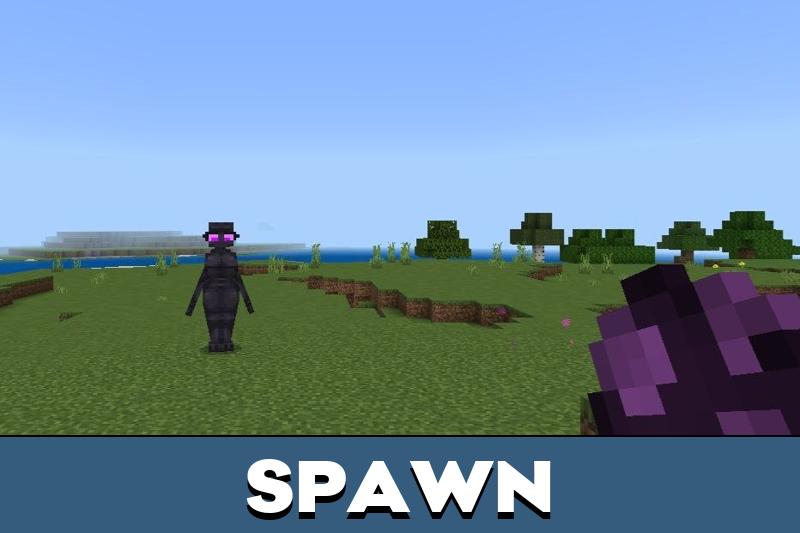 Enderwoman 2