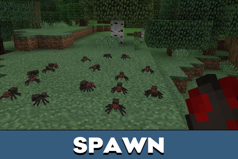 Spider 2