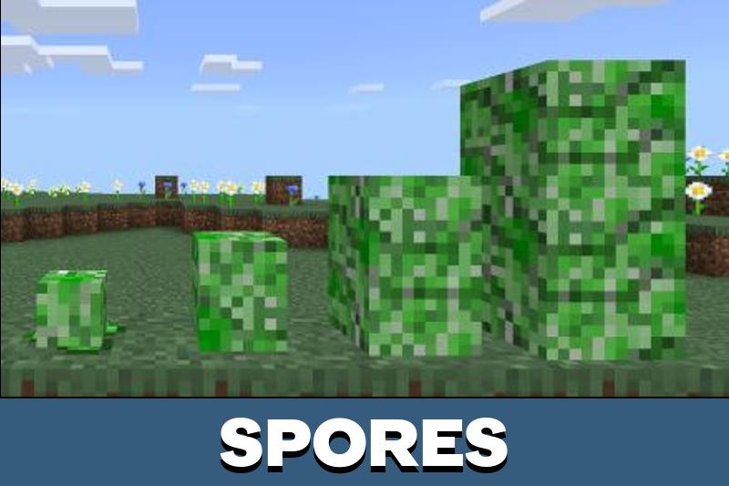 Creeper 5