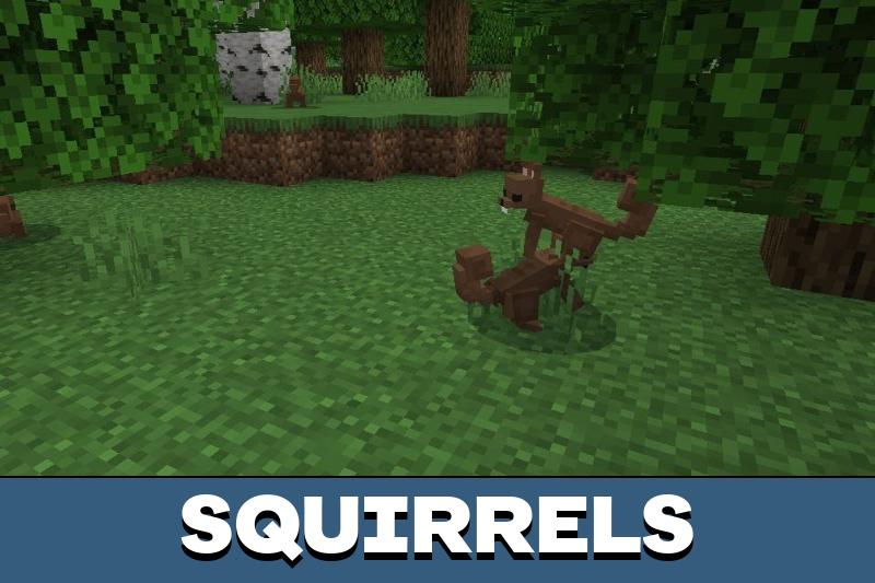 Forest Mobs 4