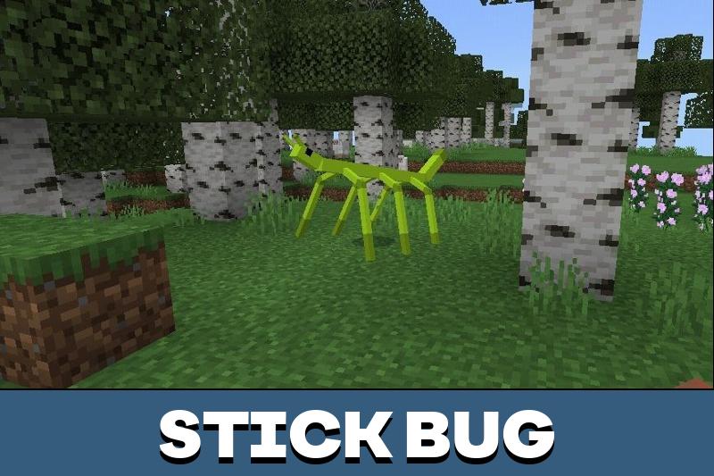 Bug 2