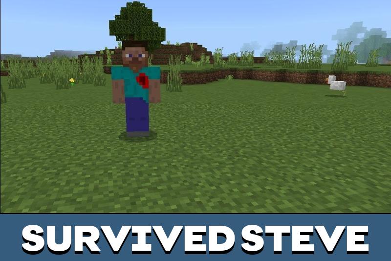 Steve 1