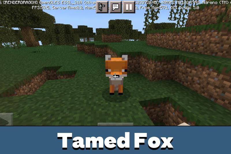 Fox 1