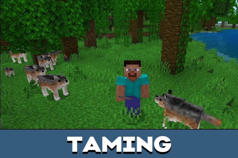 Dog Texture Pack 2