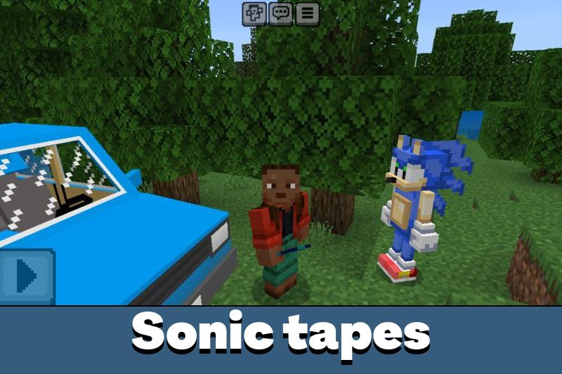 Sonic Land 5