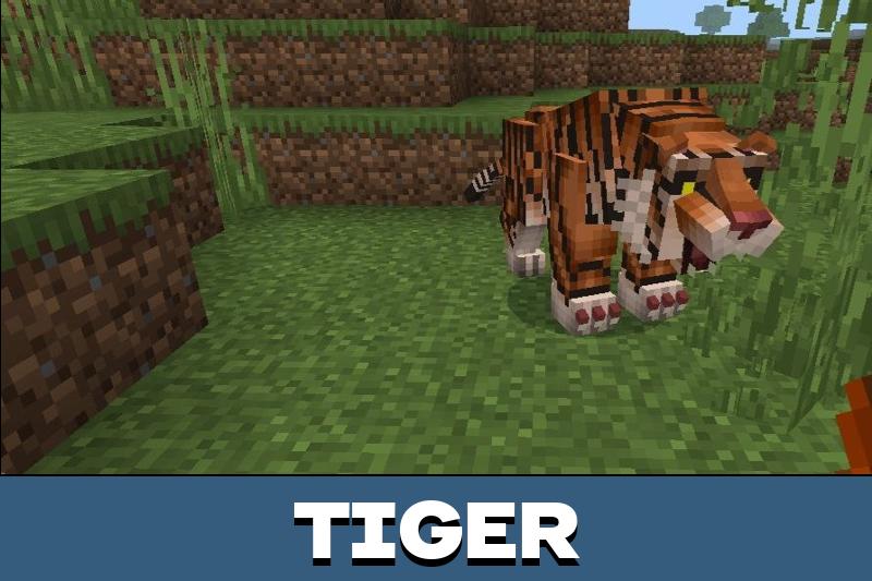 MBcreatures Plus 1