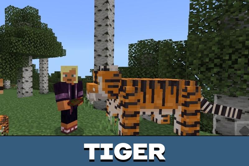 Safari Animals 3