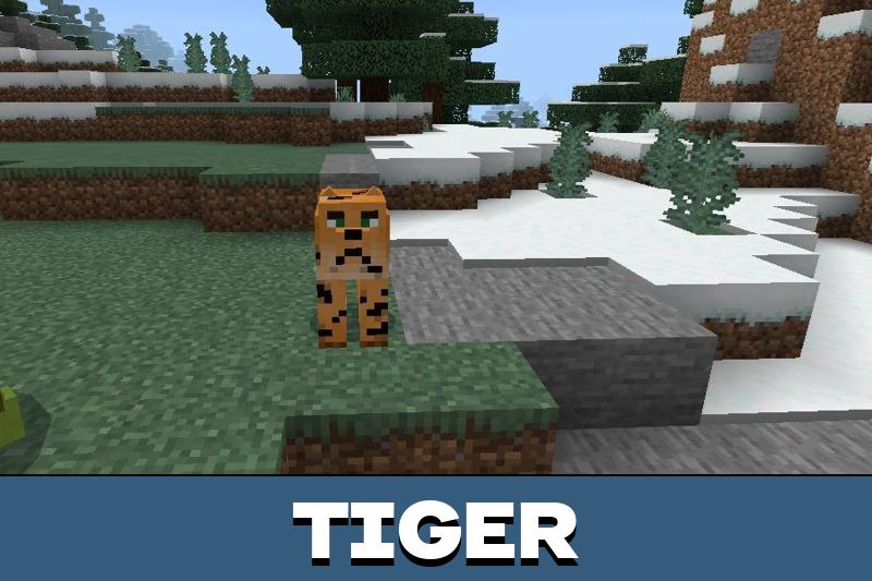 Zoo 2