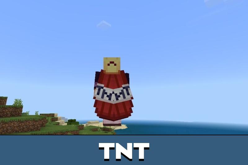 Elytra 4