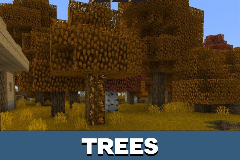 Autumn Texture Pack 1