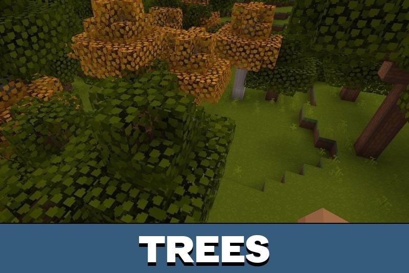 Dandelion Texture Pack 4