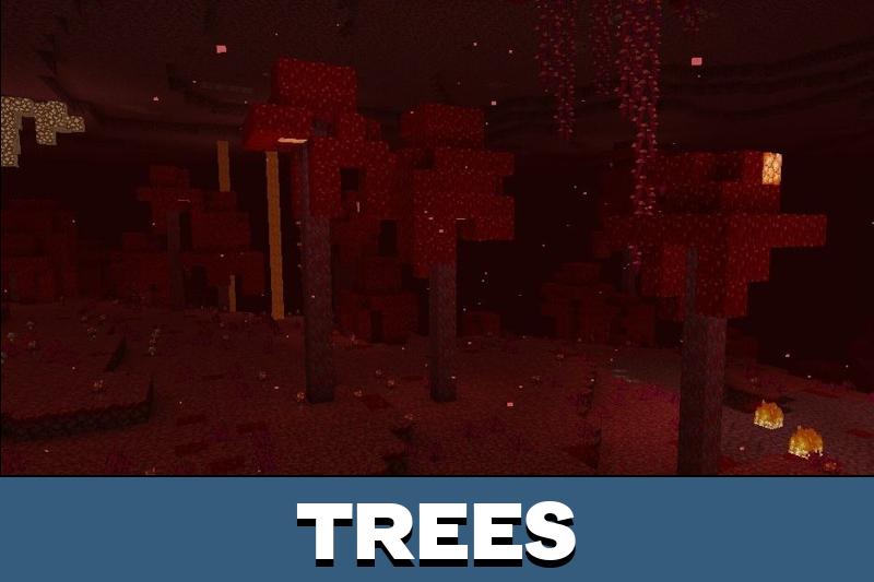 Nether 5