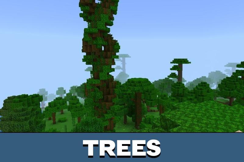 Ruins 4
