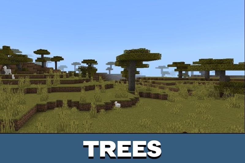 Solitude Shader 2