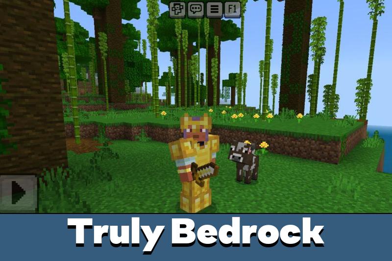 Reimagined Items Texture Pack 5