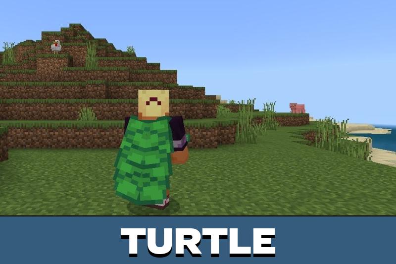 Elytra 5