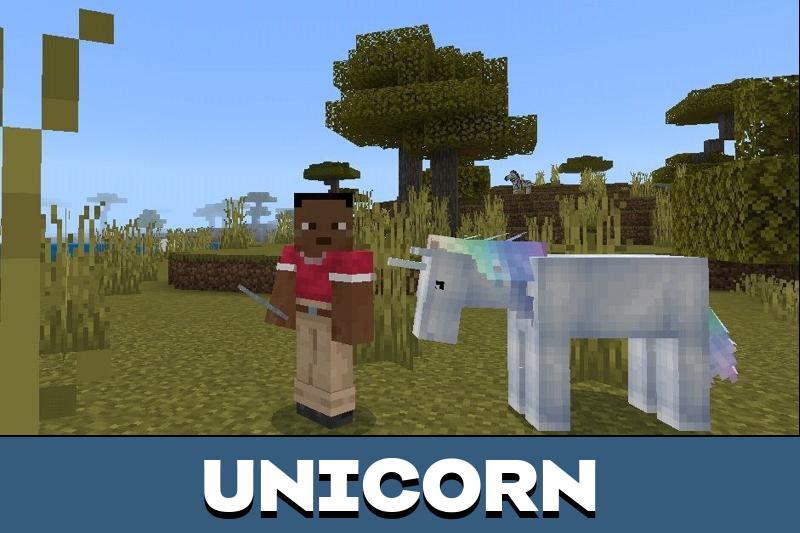 Horse 6