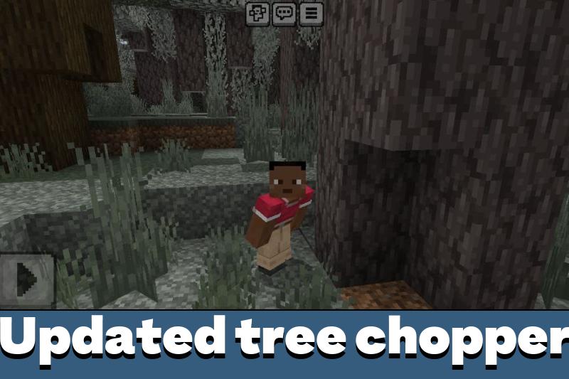 Timber 5
