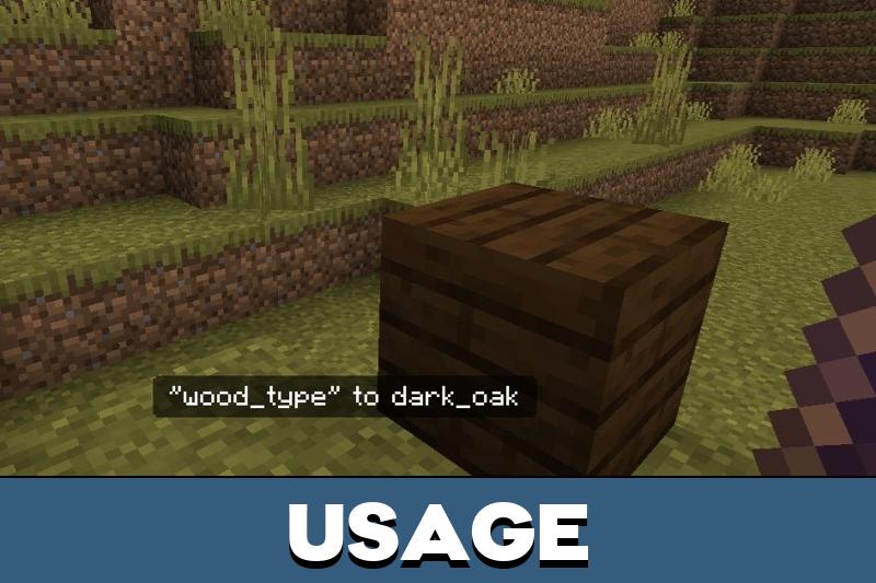 Debug Stick 1