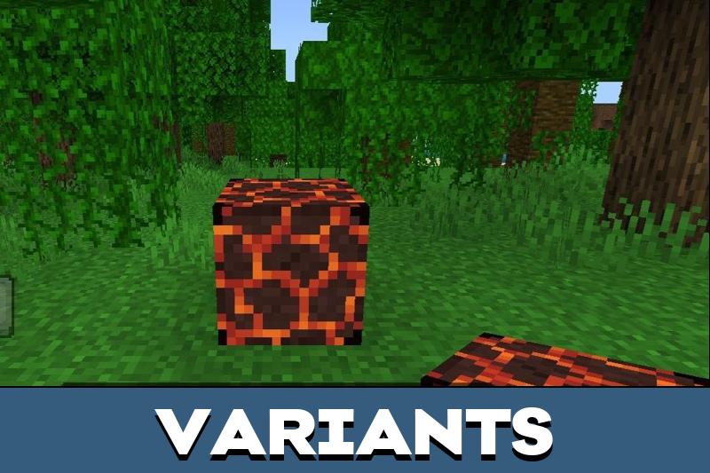 Lava Sponges 2