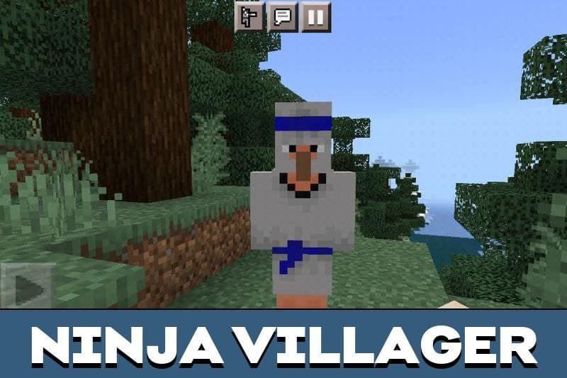 Ninja 3