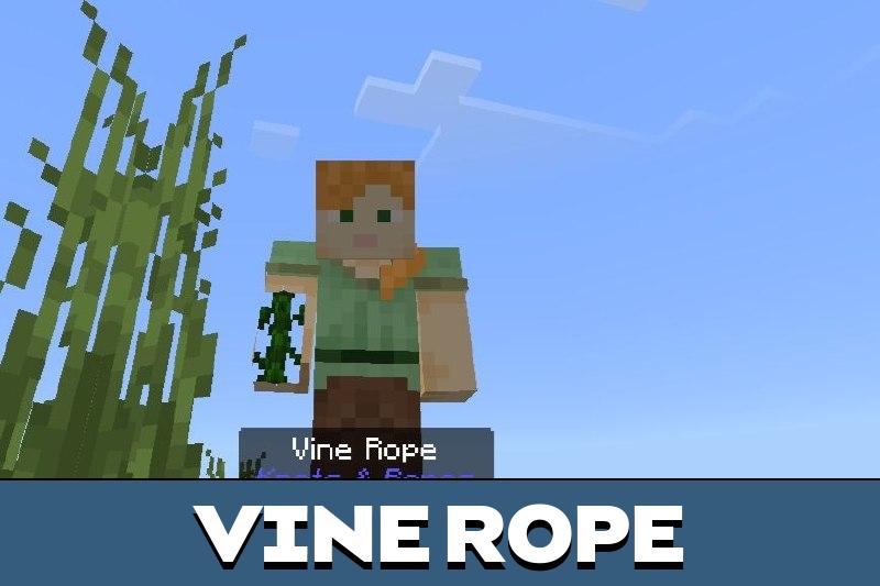 Knots and Ropes 2