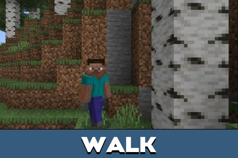 3D Player Texture Pack 2